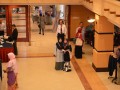 Tn dsc 4771
